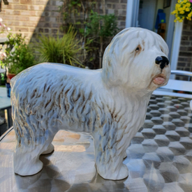 gumtree old english sheepdog